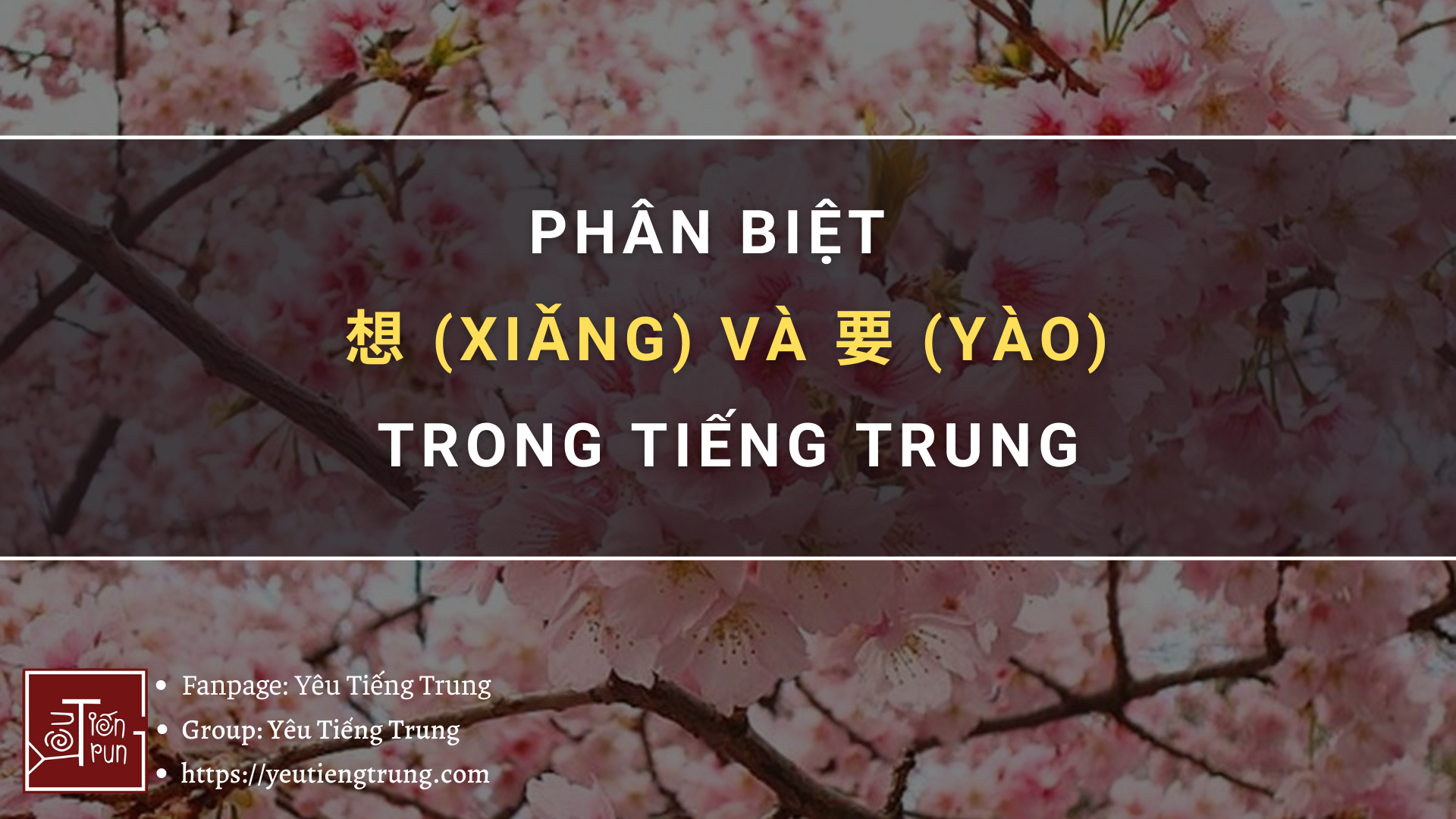phân biệt 想 (xiǎng) và 要 (yào) trong tiếng Trung